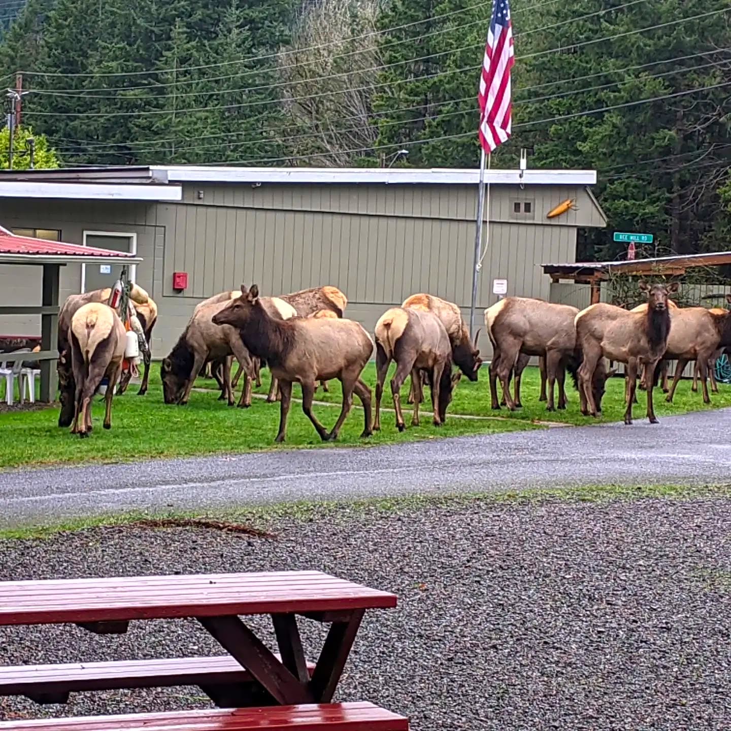 Cove RV Park & Country Store