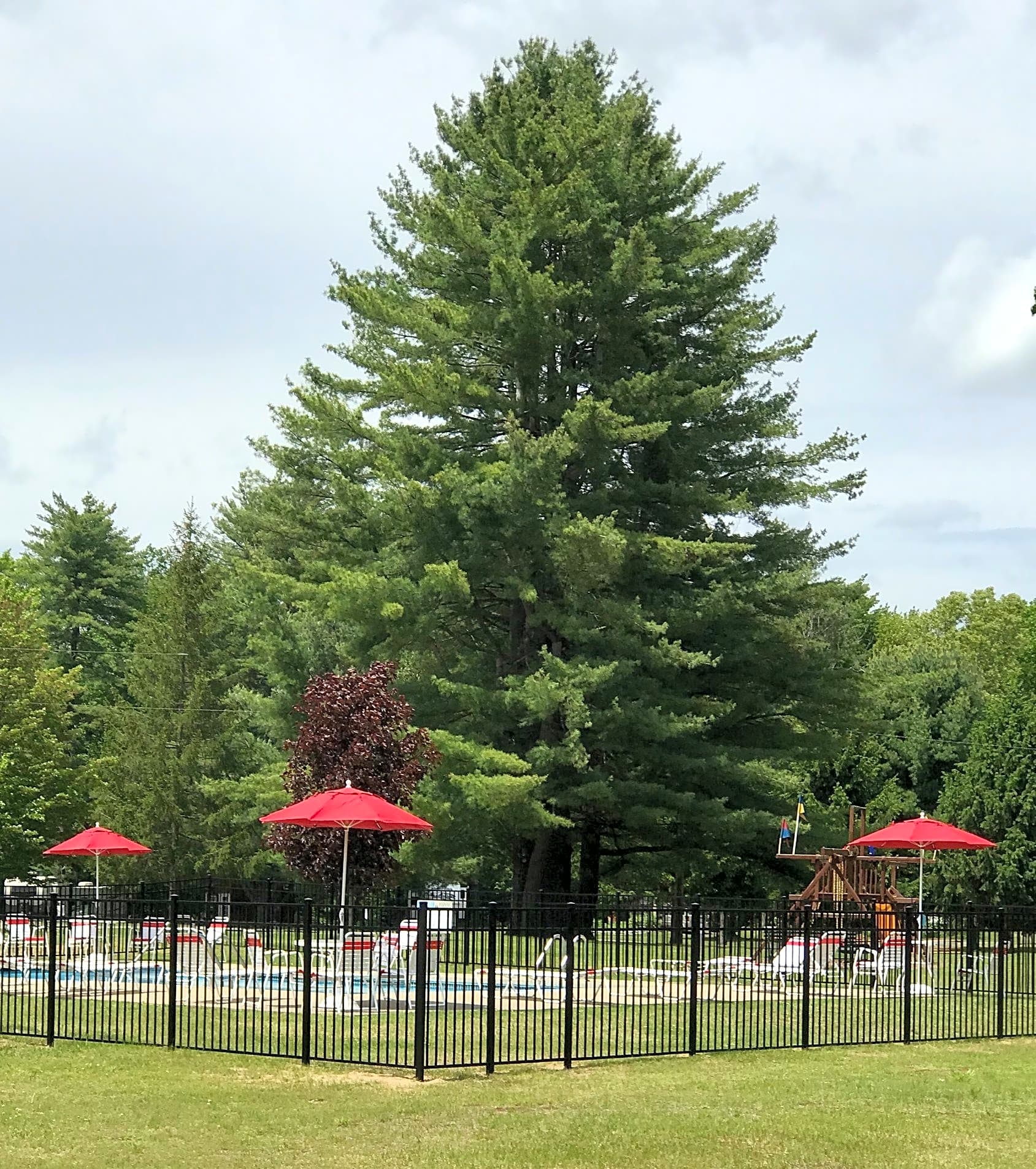 Saratoga RV Park
