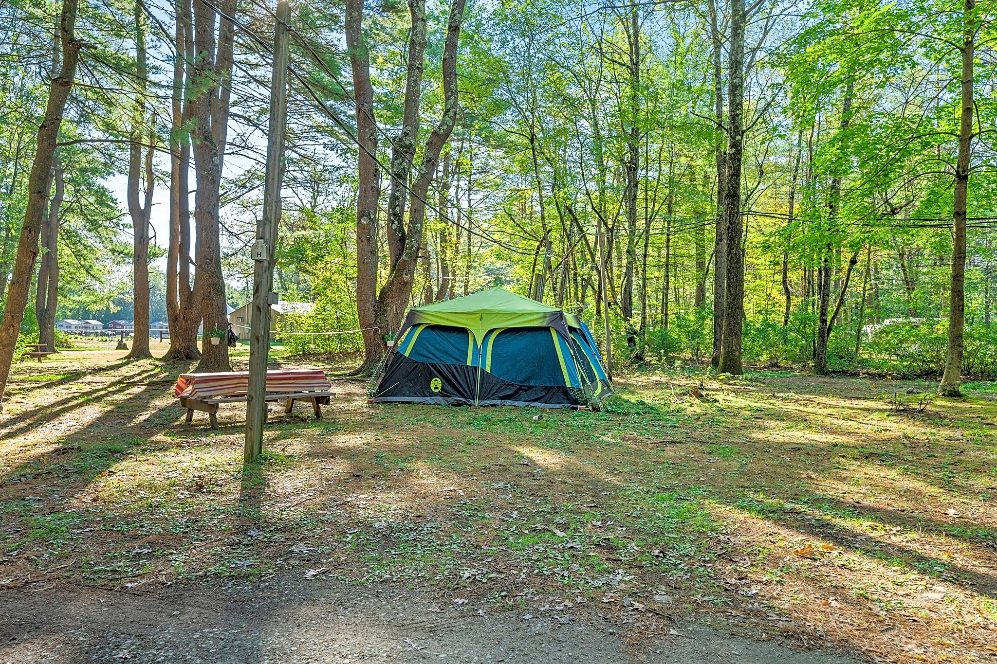 Lake George Campsites