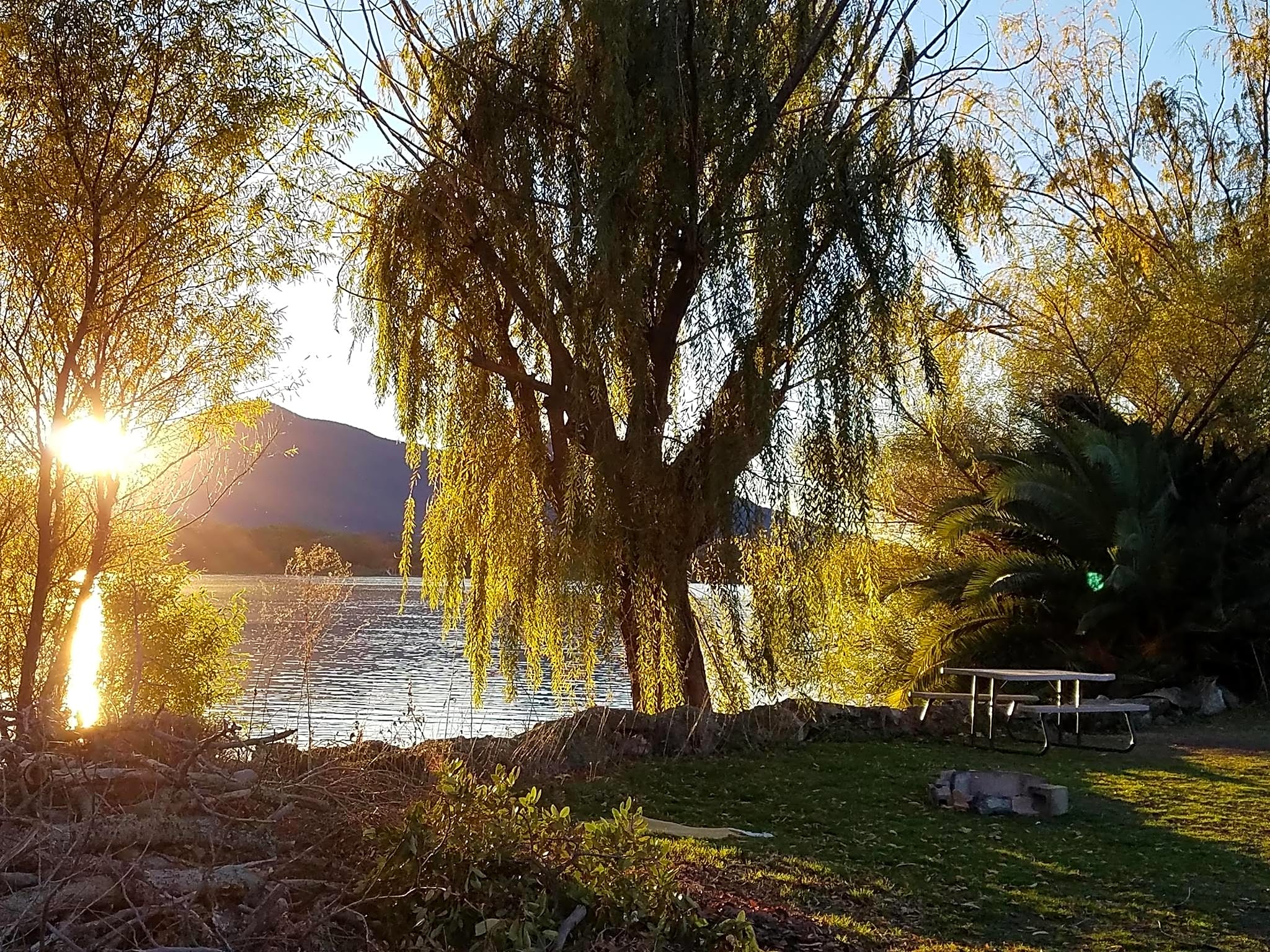 The Oasis Campground