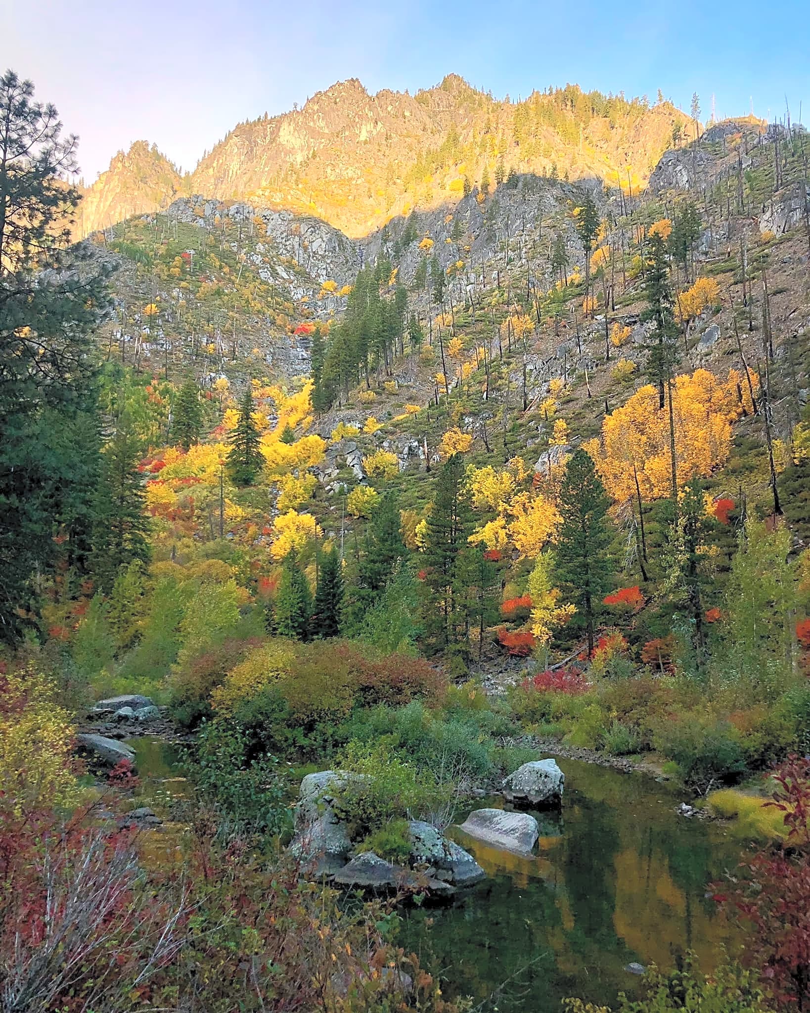 Icicle River RV Resort