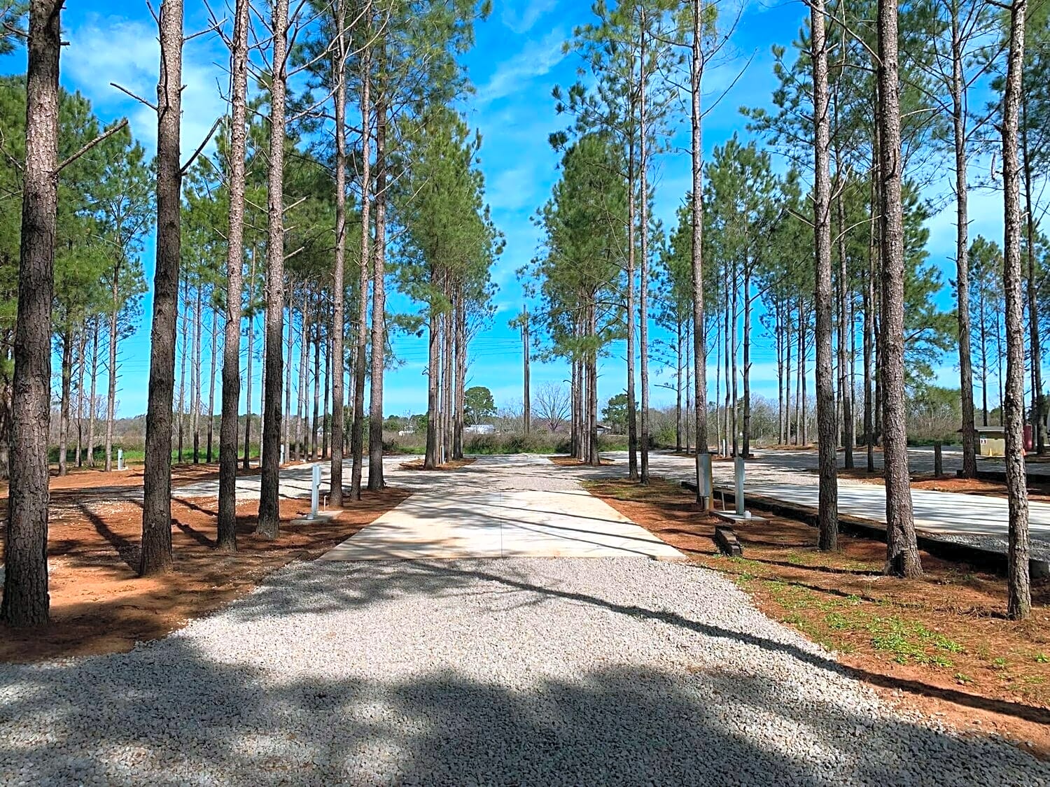 American Robin RV Park & Bird Sanctuary