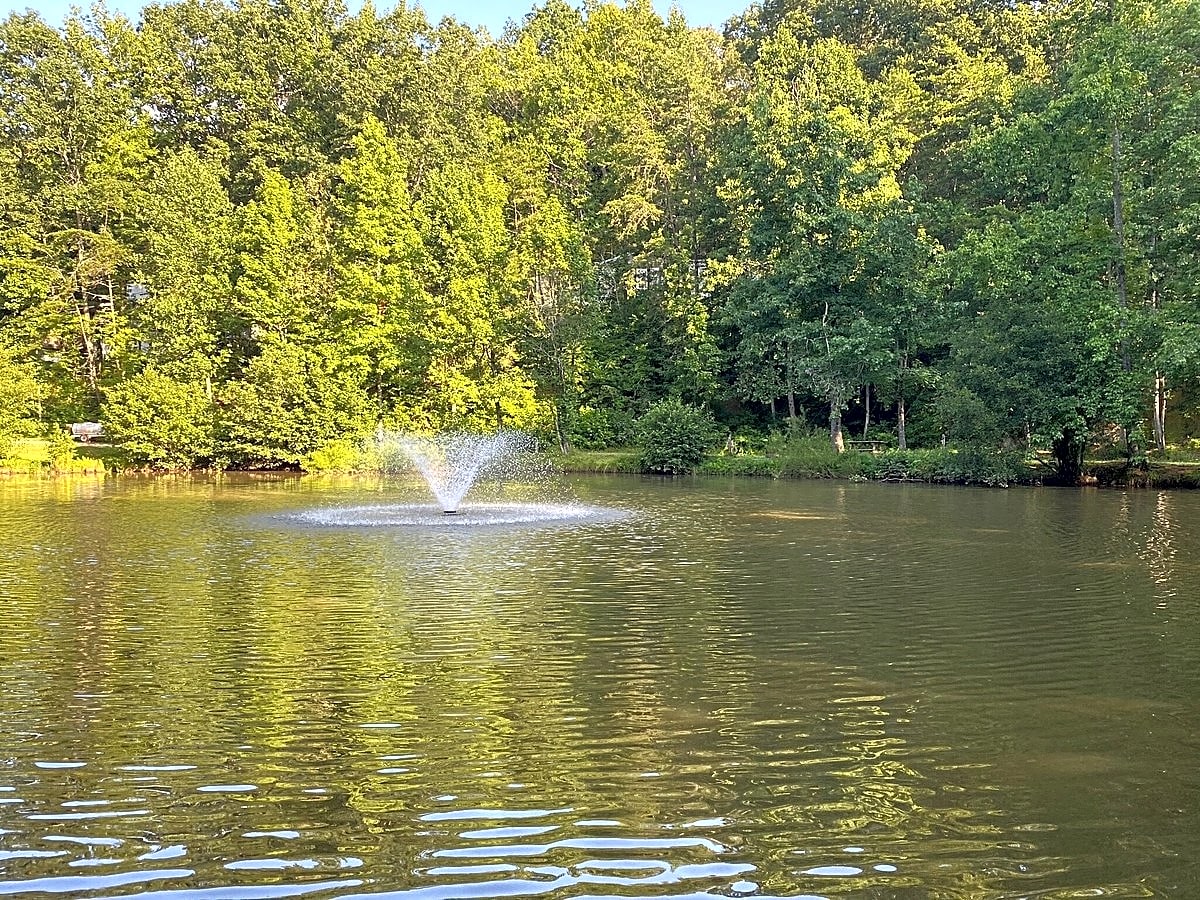 Jenny's Creek Family Campground
