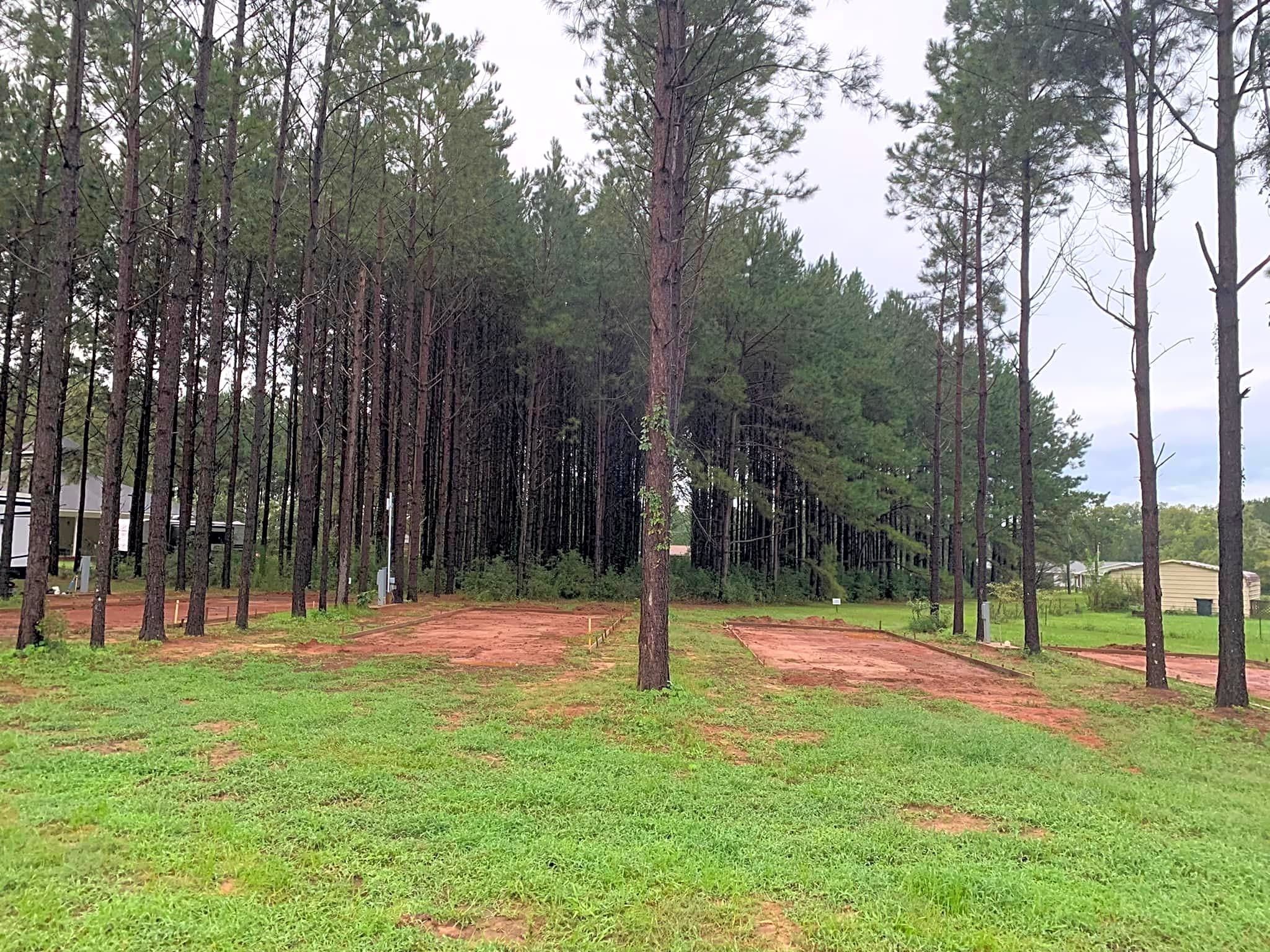 American Robin RV Park & Bird Sanctuary