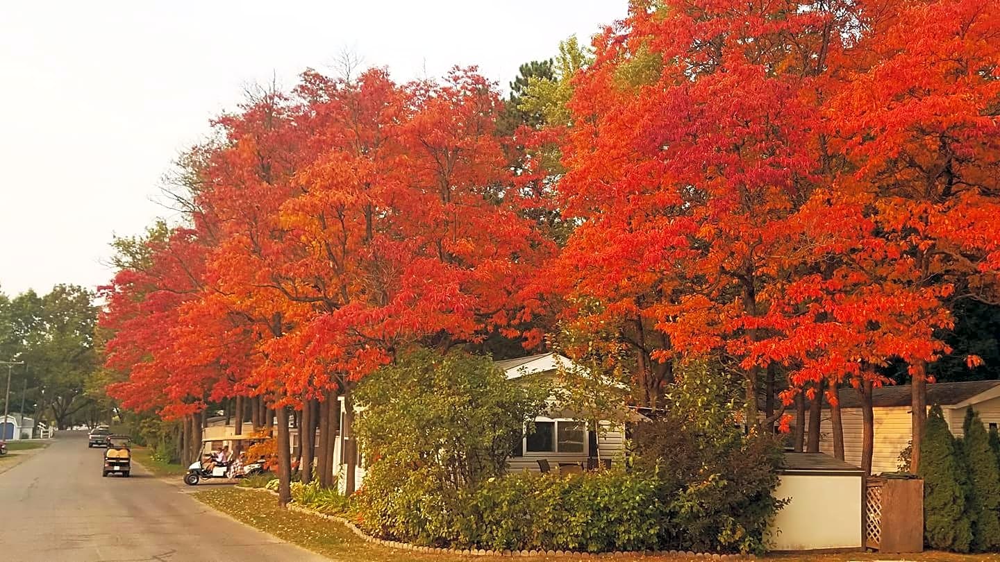 Sandy Pines Recreation Community RV Resort & Campground