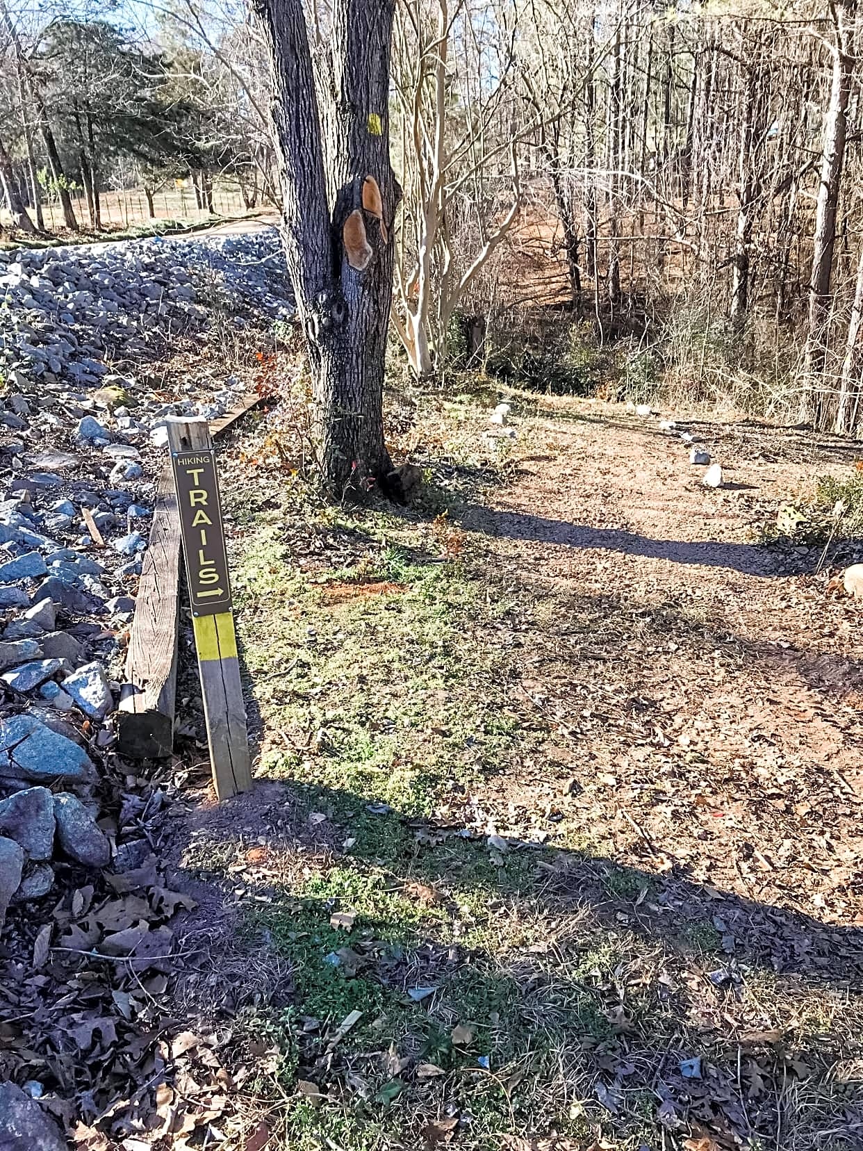 Tiger Mountain RV Park & Campground