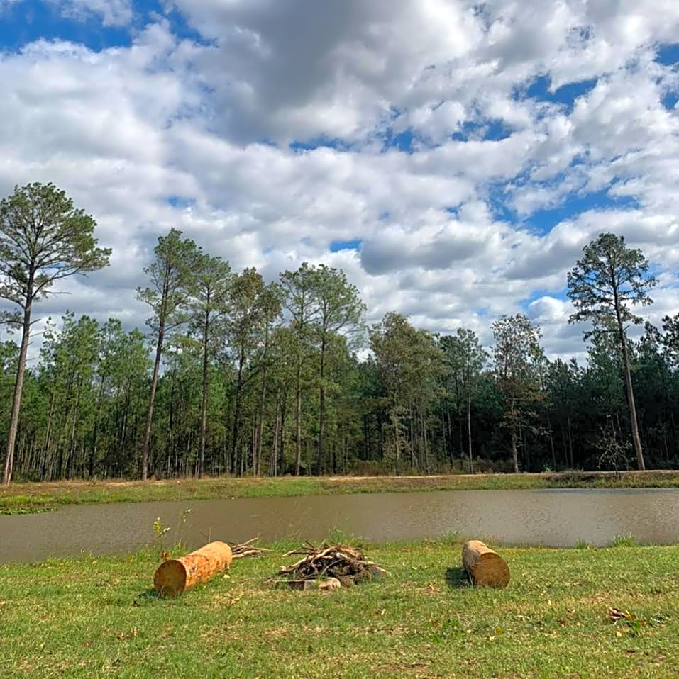 Piney Woods Village RV Park