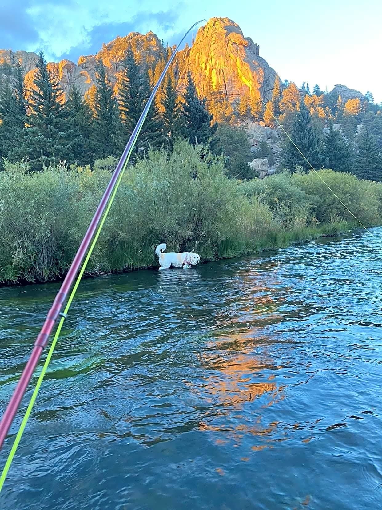 Lake George Cabins & RV Park