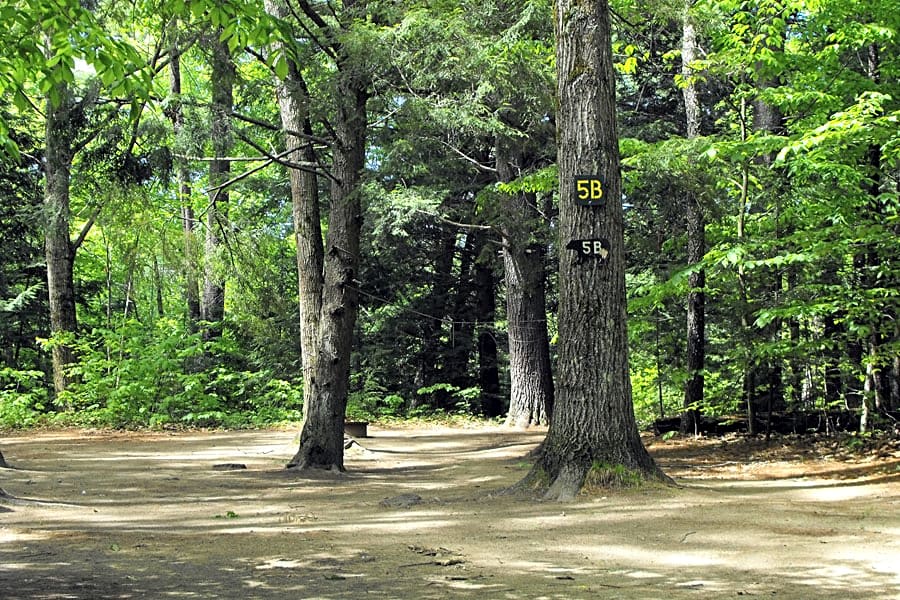 Bearcamp River Campground