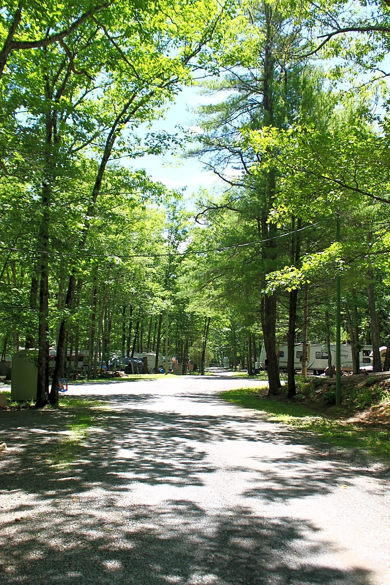 Gray Squirrel Campsites
