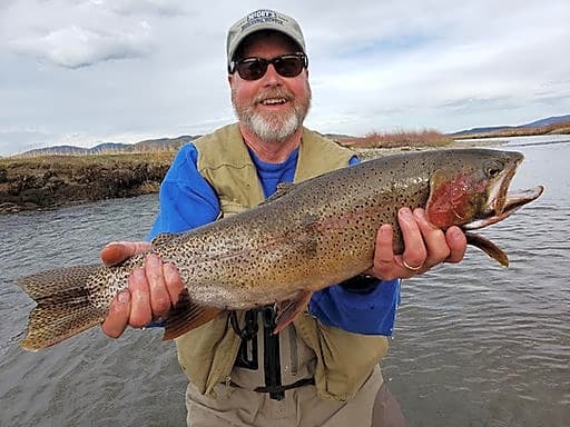 Lake George Cabins & RV Park