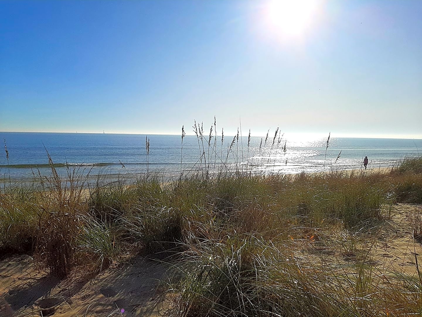 The Colonies RV And Travel Park