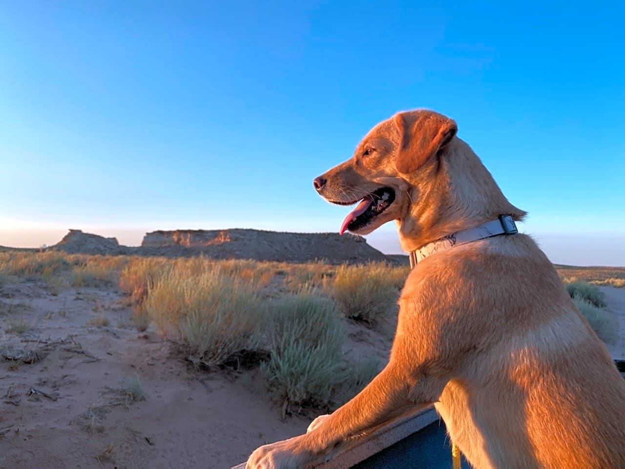 Hanksville RV & Storage