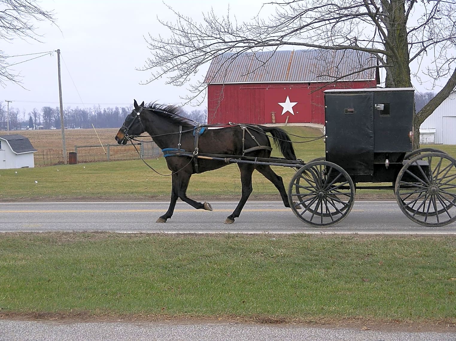 Shipshewana North Park Amish Log Cabin Lodging & Campground