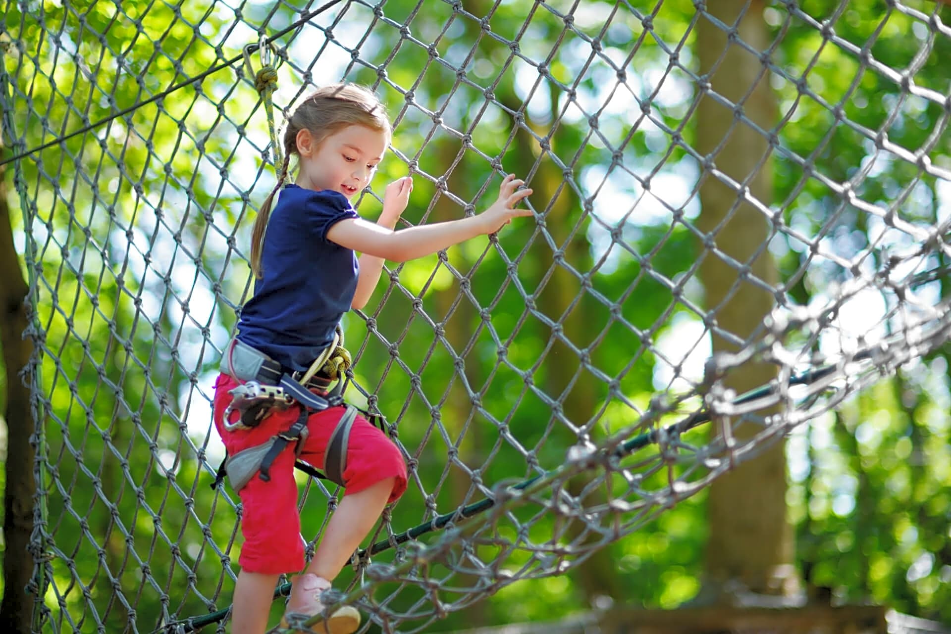 Levi Jackson Wilderness Road Park