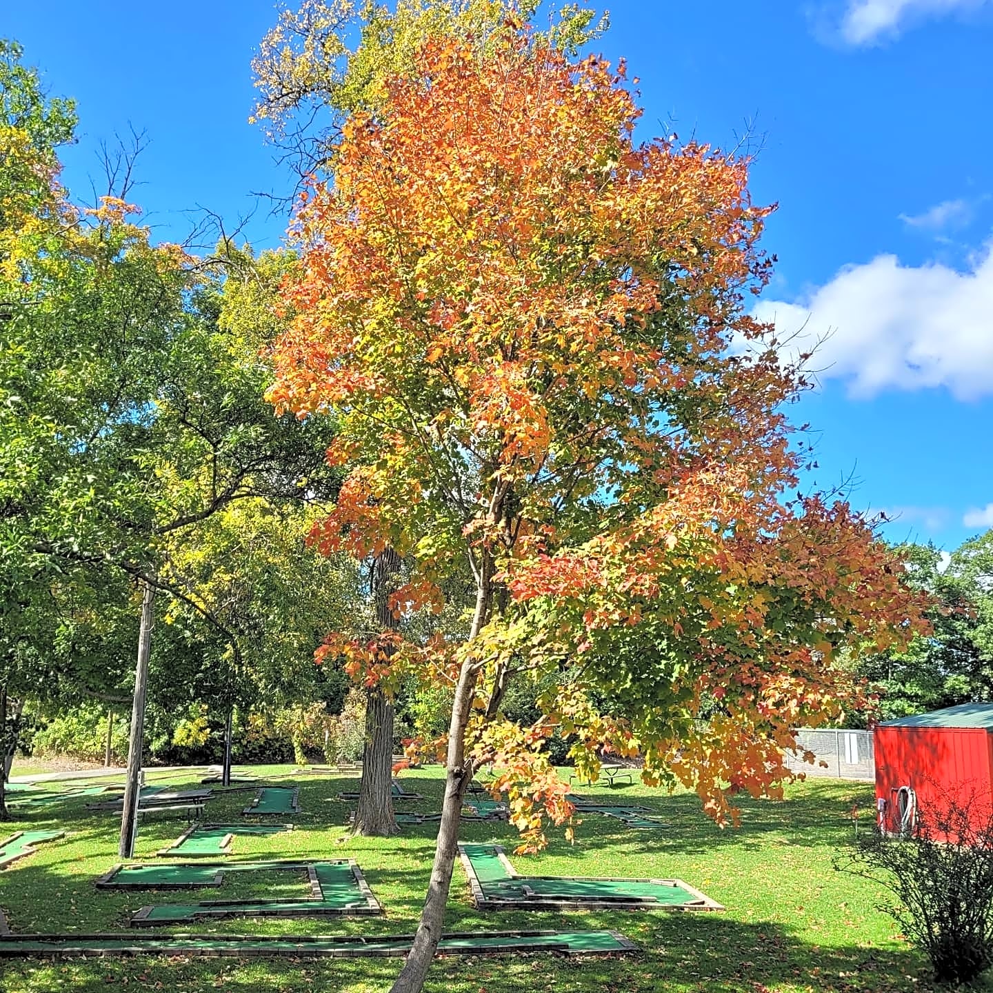 Wildwood RV Park & Campground