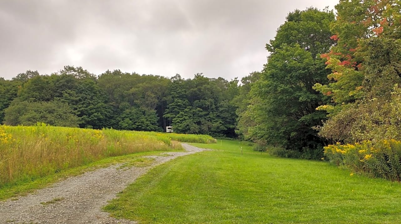 Kingswood Campsite
