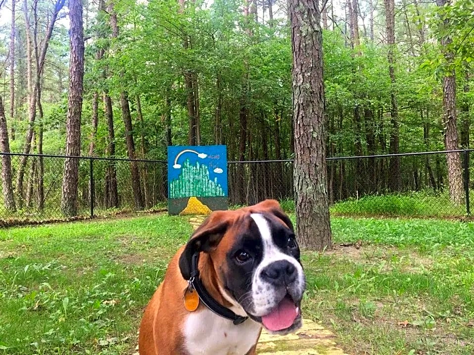 Indian Rock RV Park & Campground