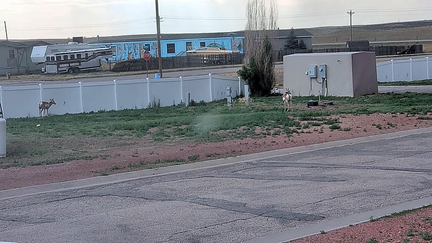 Sagebluff RV Park