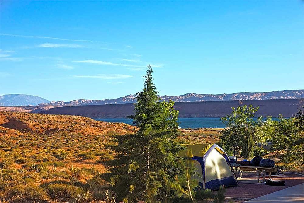 Bullfrog RV Park