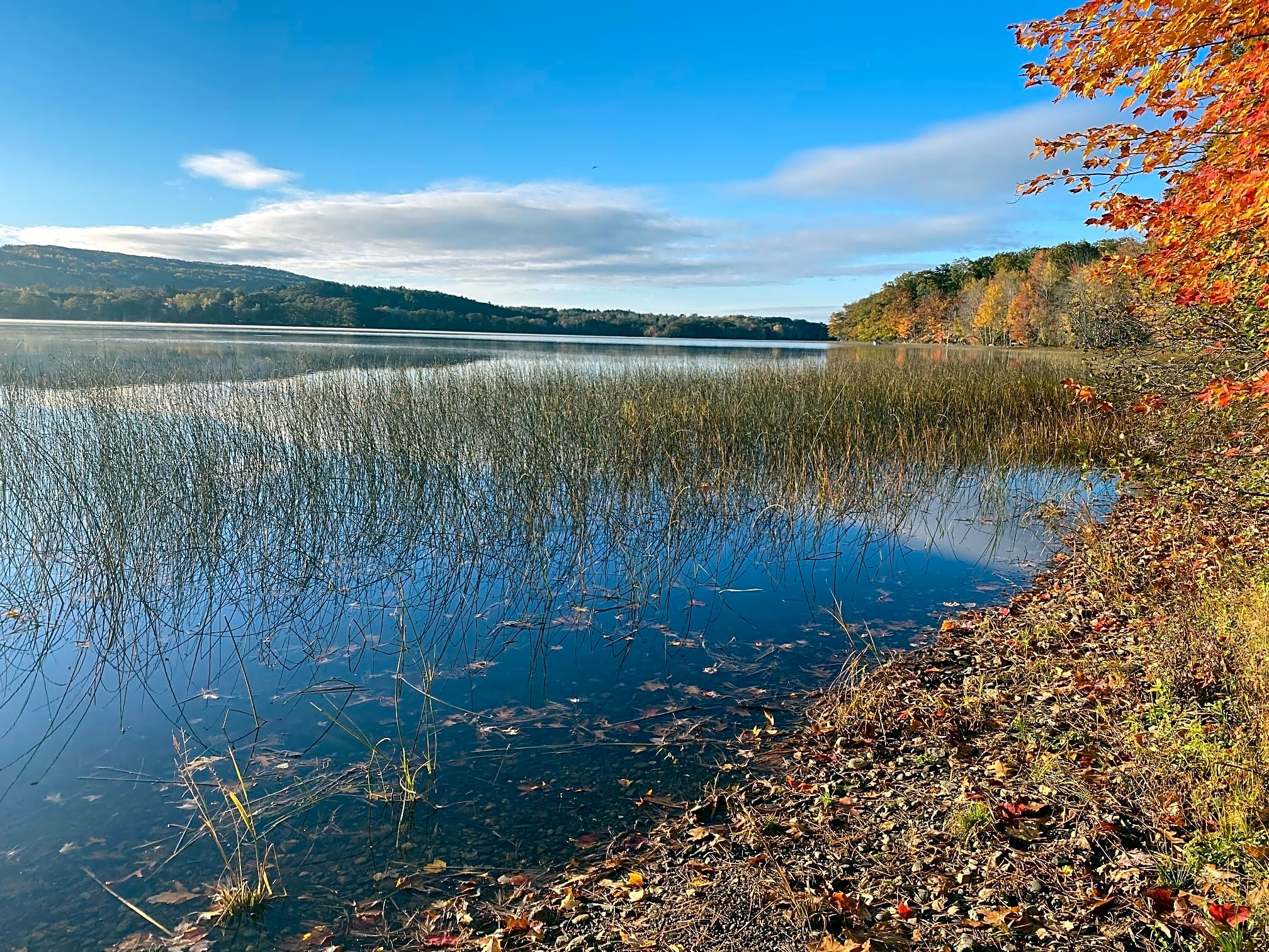 Sennebec Lake Campground