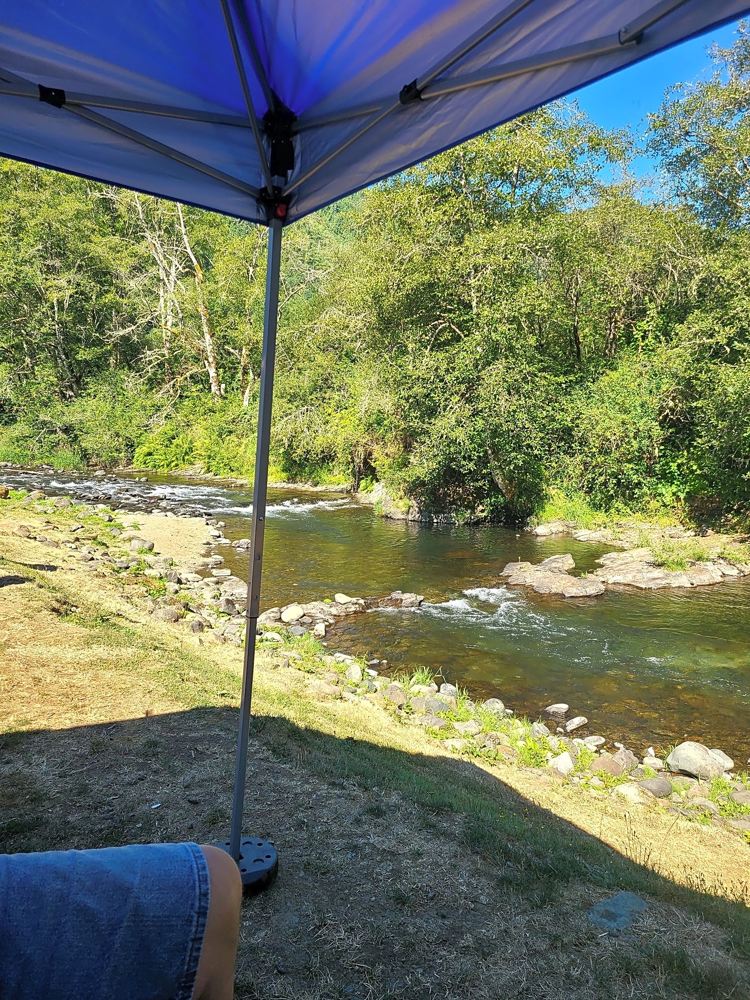 Trask River RV Park