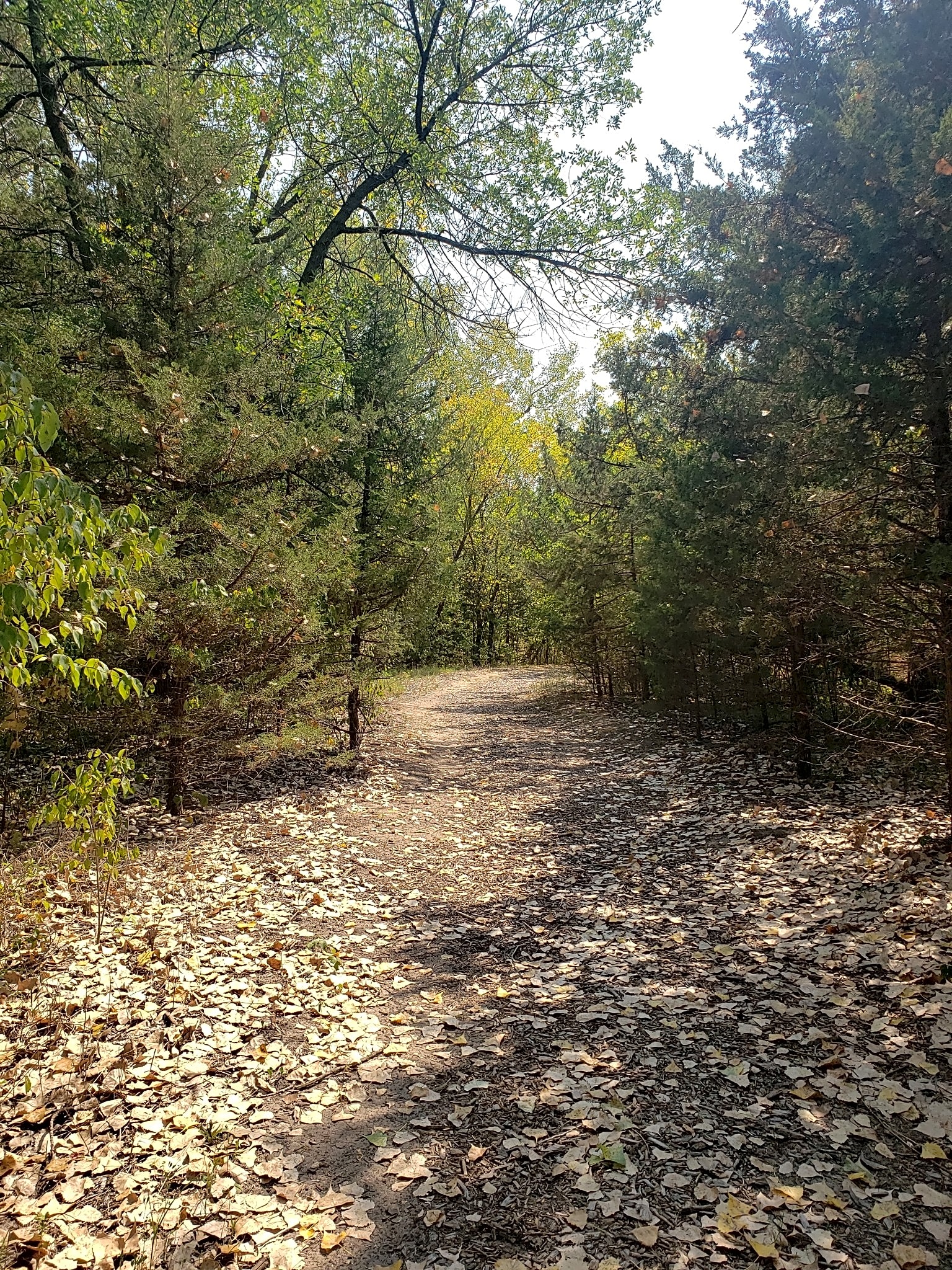 Bader Park