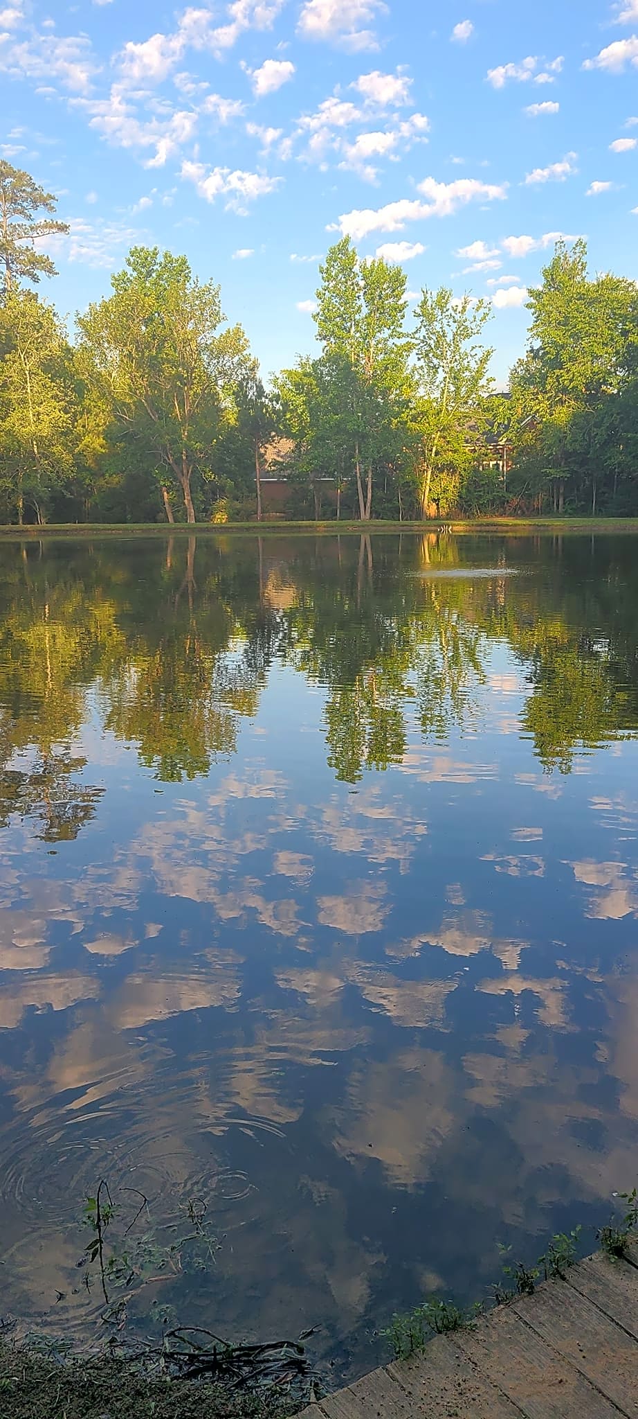 Woodsmoke Family Campground