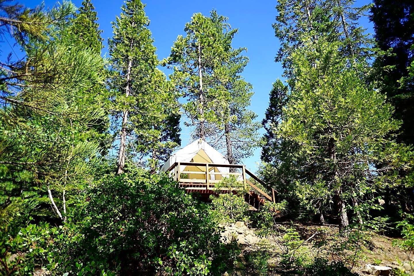 Shaver Lake Village Hotel