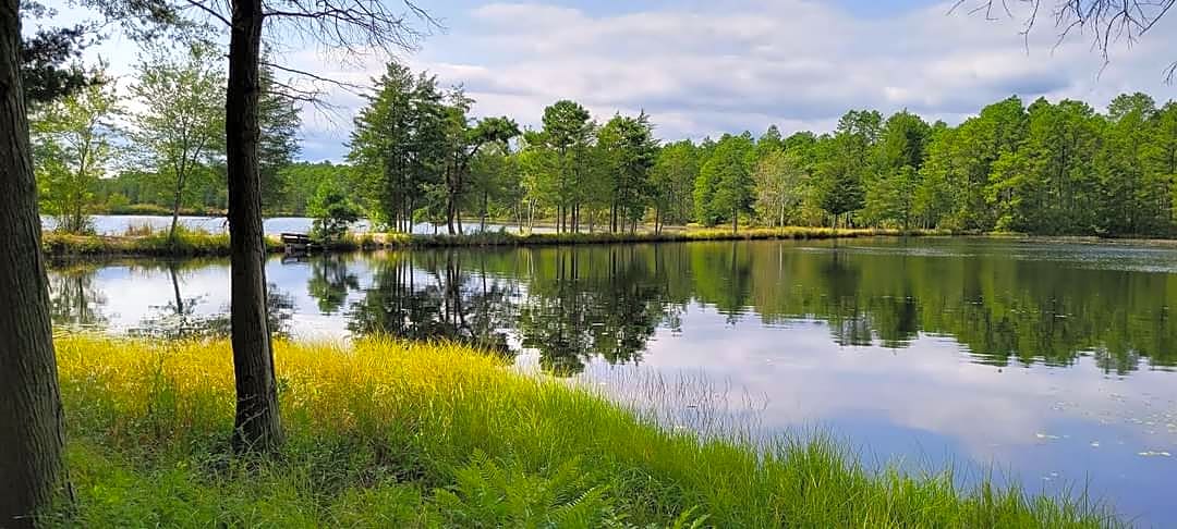 Timberline Lake Camping Resort