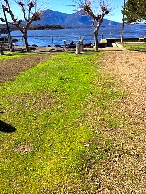Island RV Park