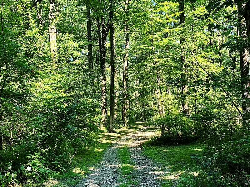 Jugtown Mountain Campsites