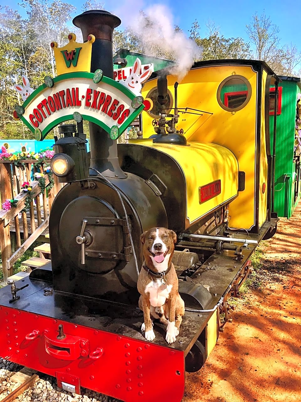 Wales West RV Park & Light Railway