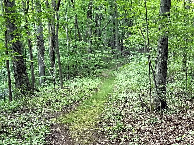 Brook N Wood Family Campground