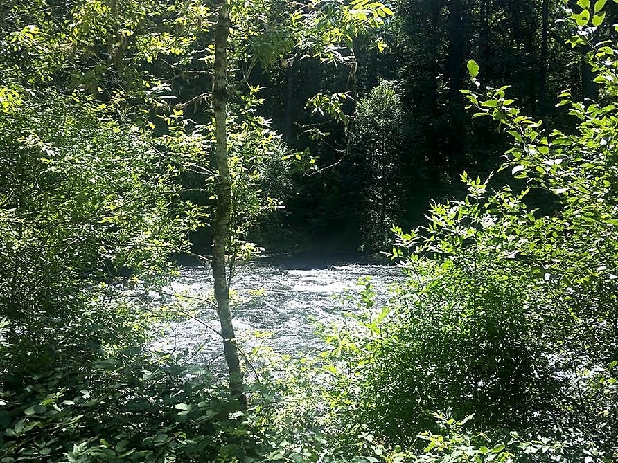 Holiday Farm RV Resort