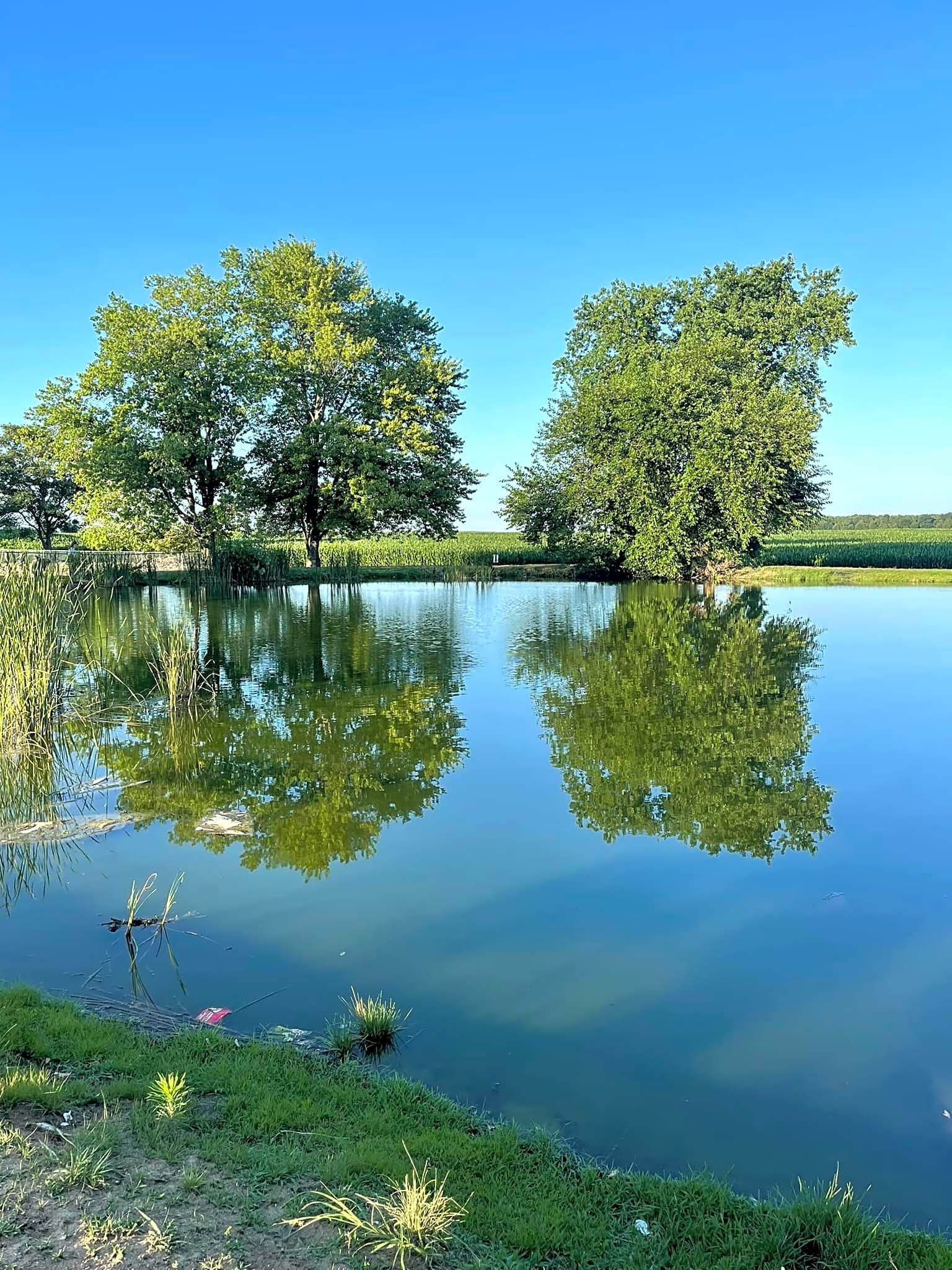 Evening Star Camping Resort