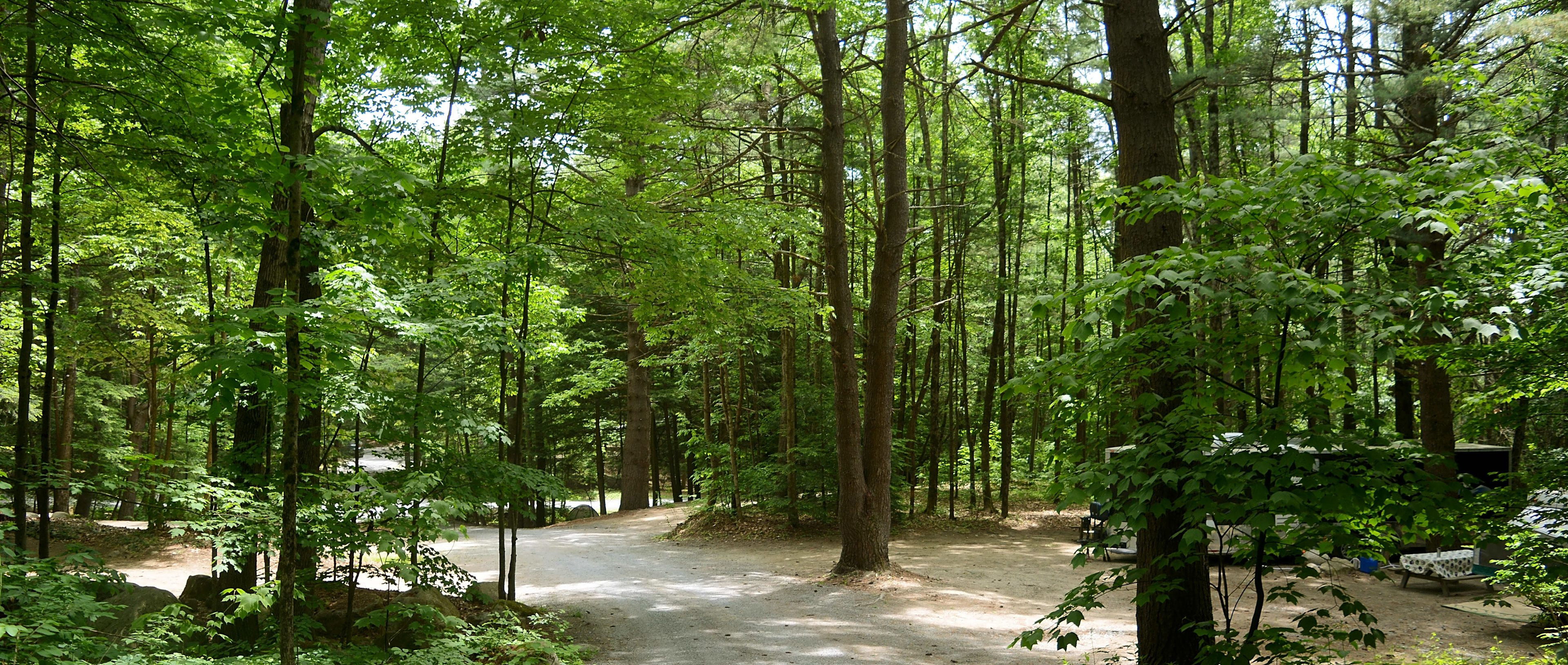 Lake George Camping Village