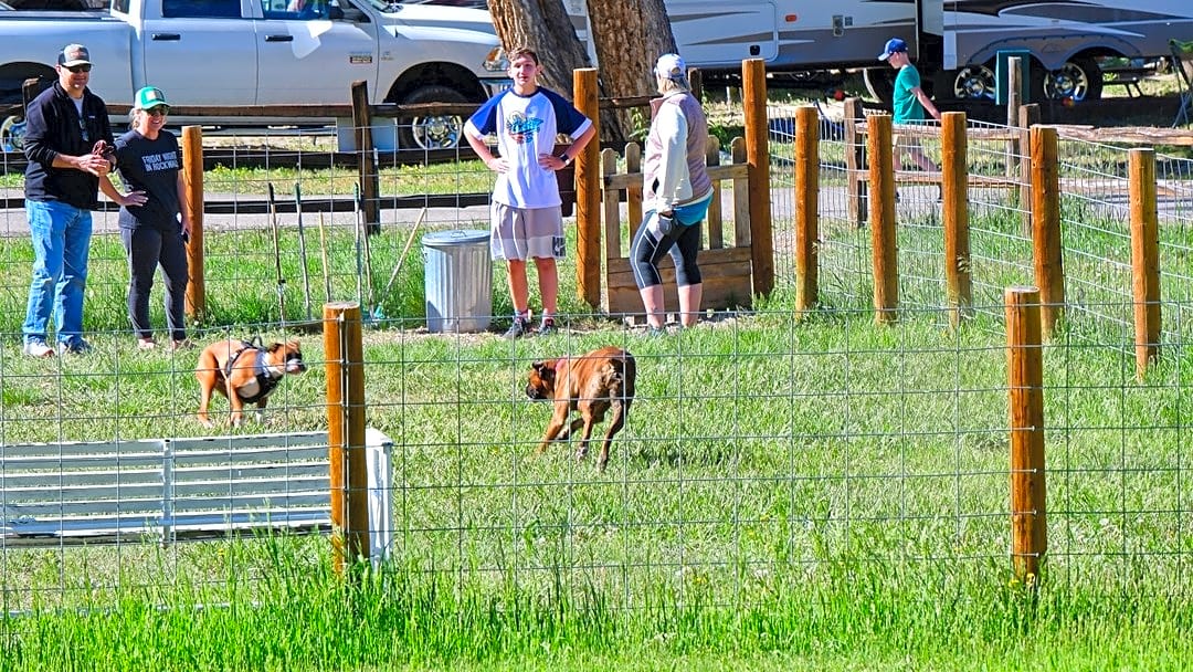 Road Runner RV Resort