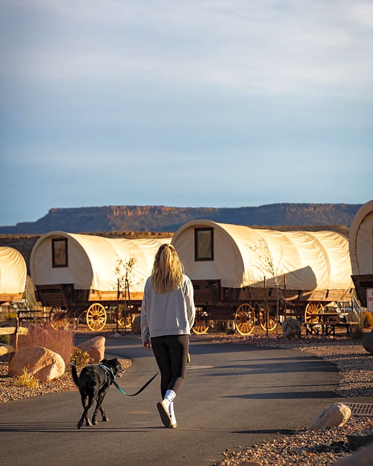 Zion White Bison Resort
