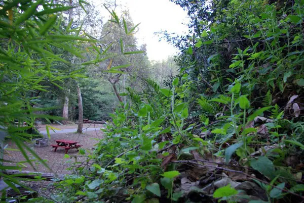 Riverside Campground & Cabins