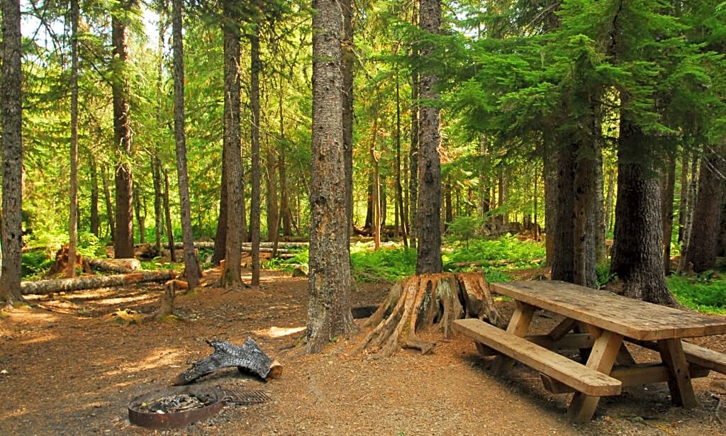 Quemahoning Family Recreation Area
