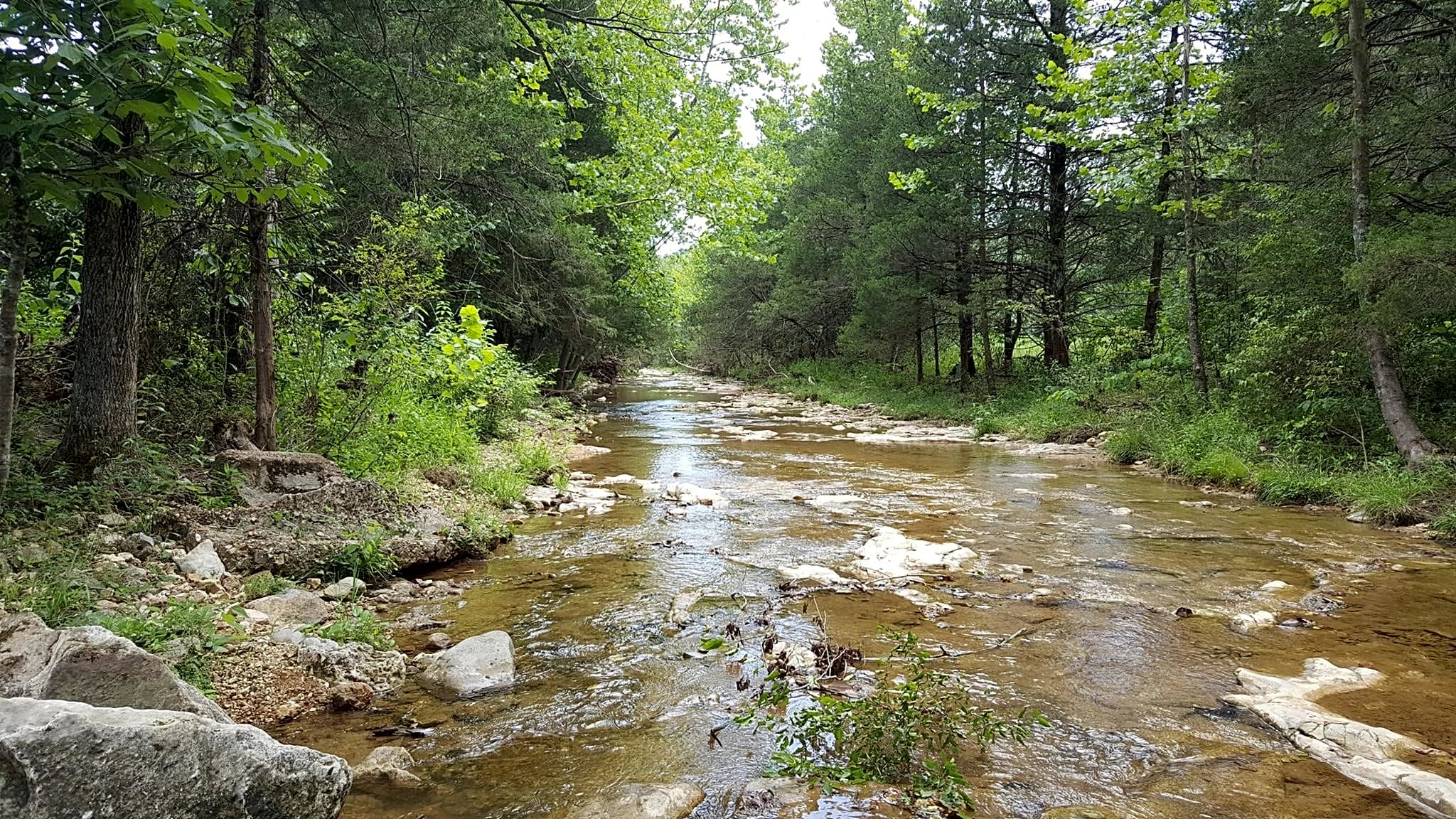 Story's Creek RV And Horse Campground
