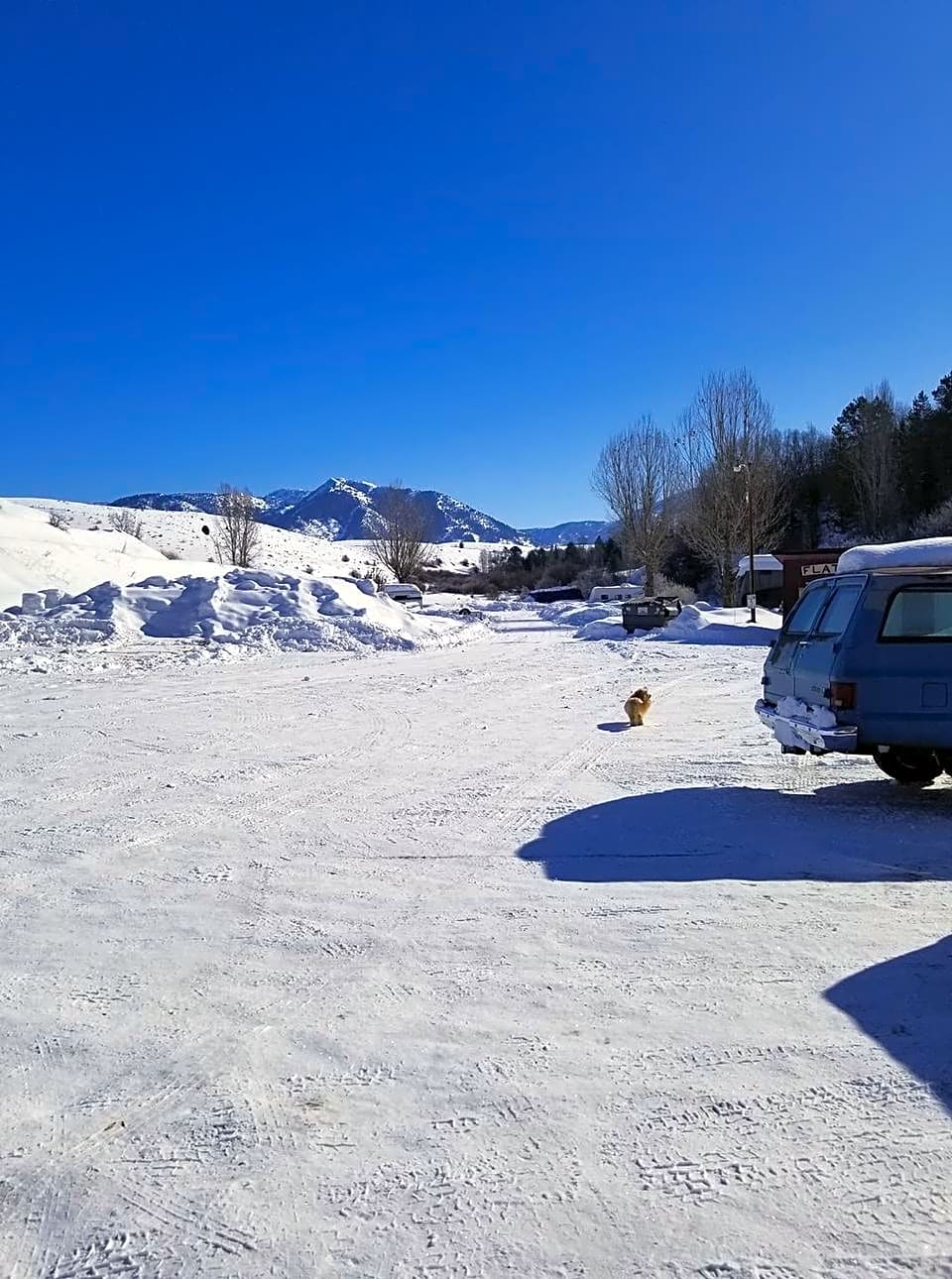 Flat Creek RV Park and Cabins