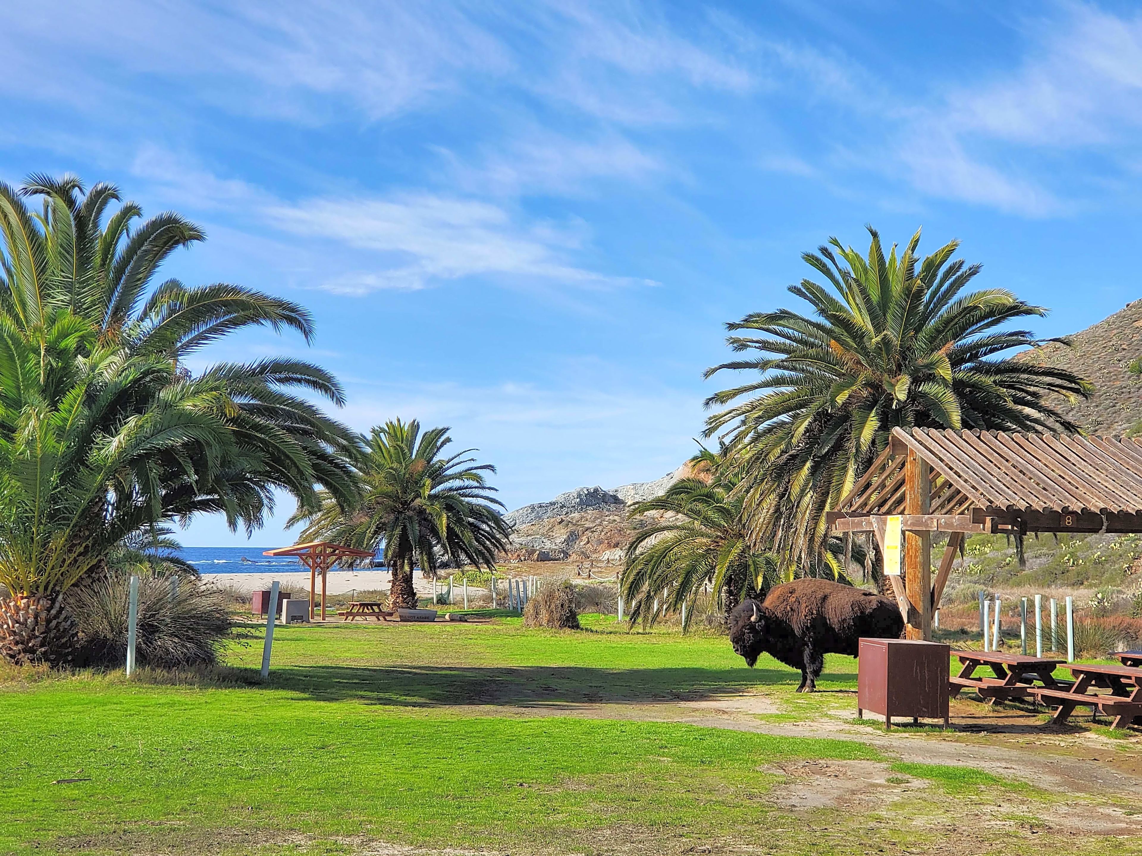 Catalina Island Company