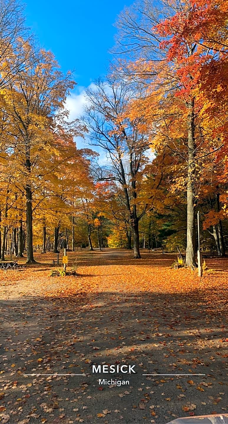 Northern Exposure Campground