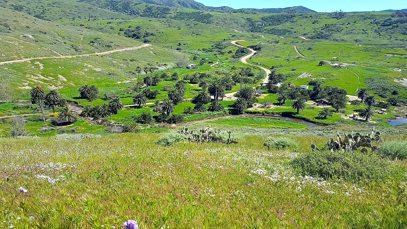 Catalina Island Company