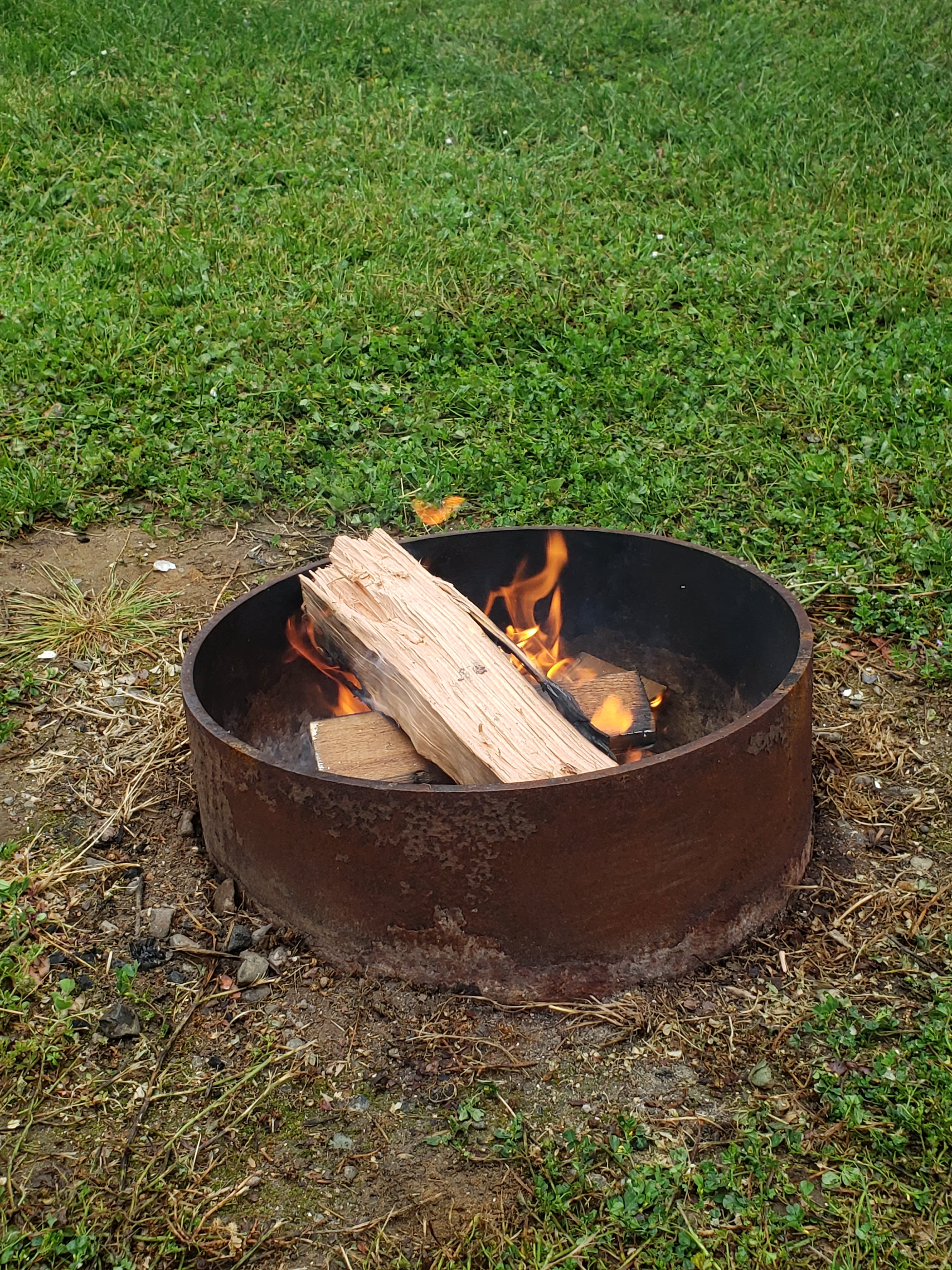 Redwood Coast Cabins & RV Resort