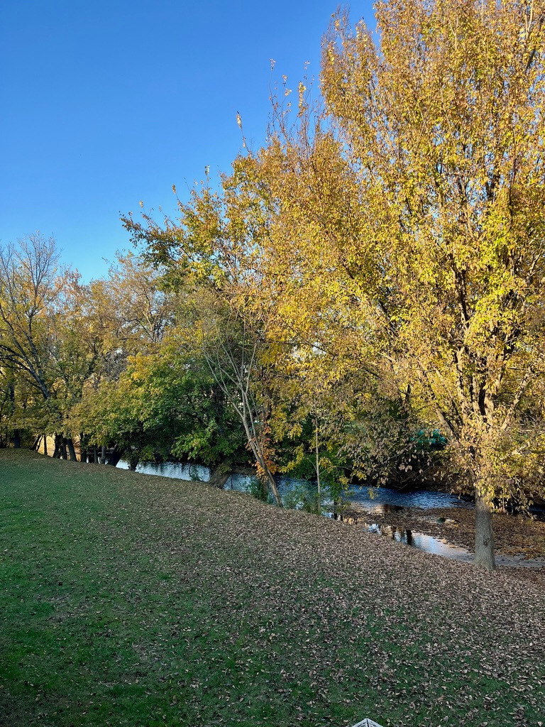 Holy Smokies RV Park And Glamping