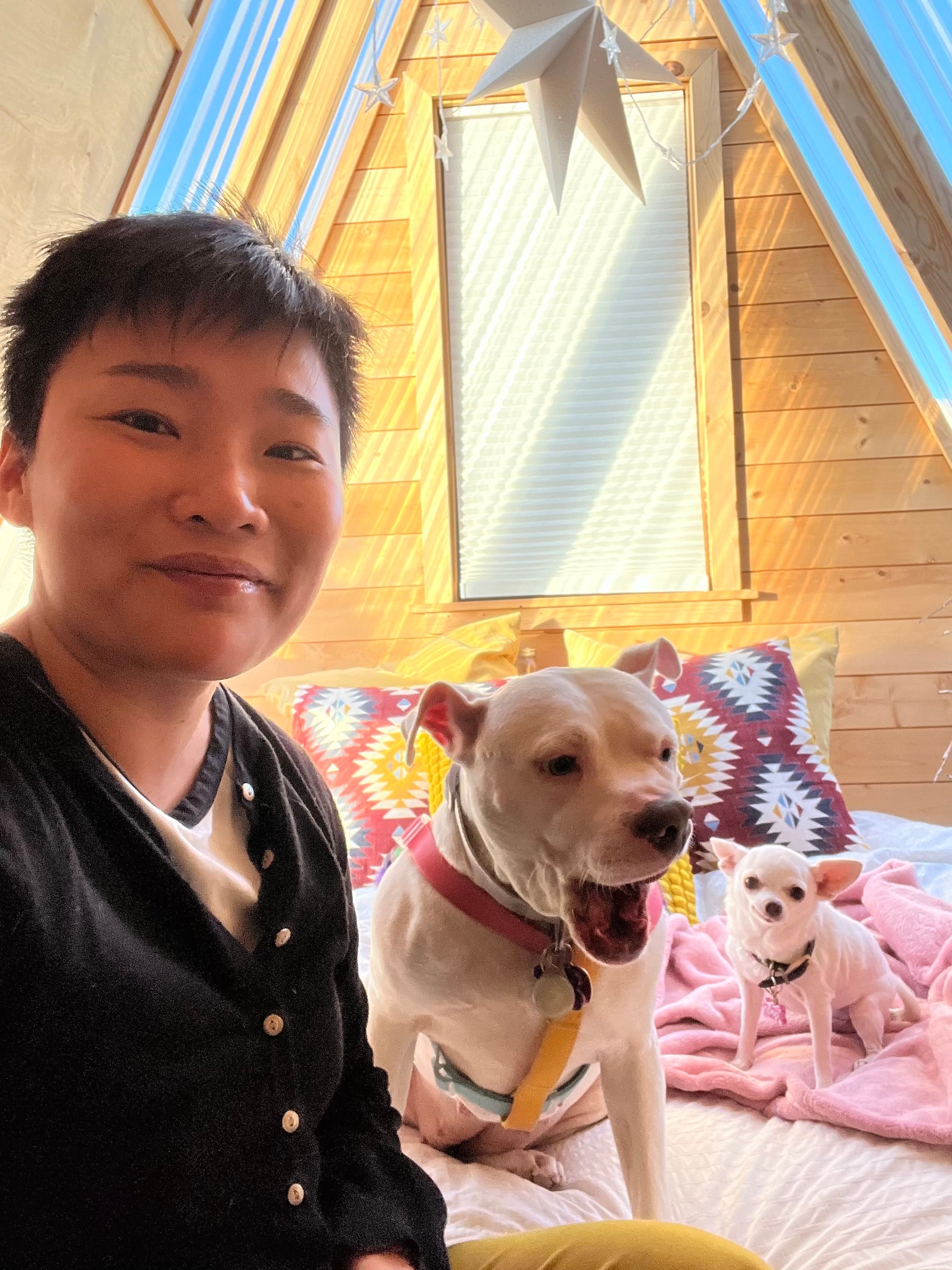 Phoenix Citi StarGazer A-Frame