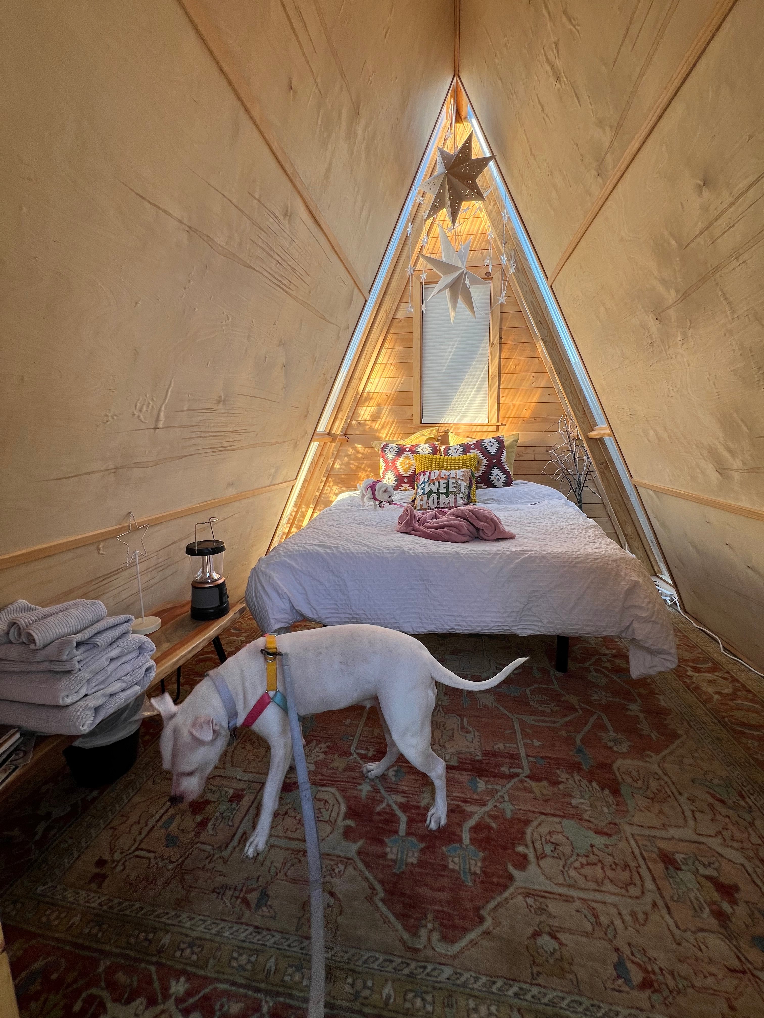 Phoenix Citi StarGazer A-Frame